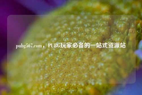 pubg567.com，PUBG玩家必备的一站式资源站