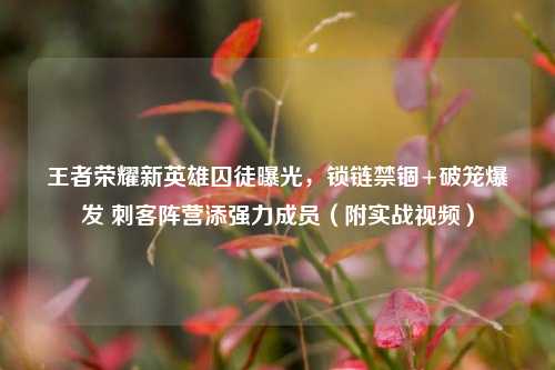 王者荣耀新英雄囚徒曝光，锁链禁锢+破笼爆发 刺客阵营添强力成员（附实战视频）