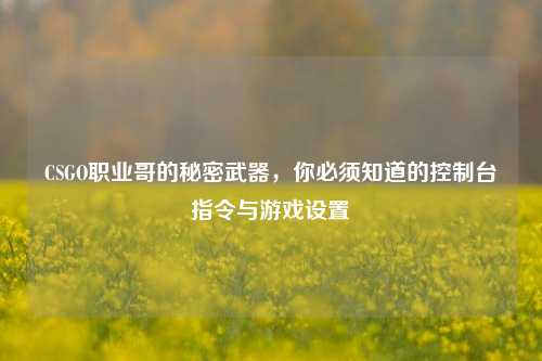 CSGO职业哥的秘密武器，你必须知道的控制台指令与游戏设置