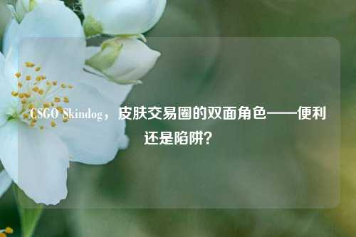 CSGO Skindog,皮肤交易圈的双面角色——便利还是陷阱?