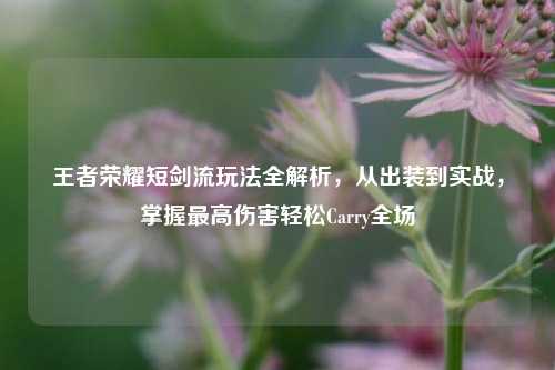 王者荣耀短剑流玩法全解析，从出装到实战，掌握最高伤害轻松Carry全场