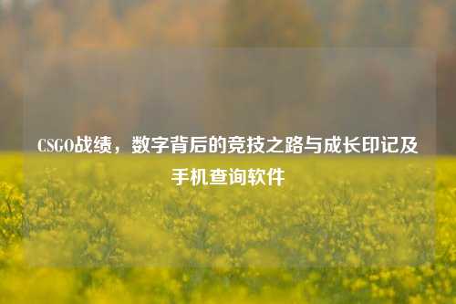 CSGO战绩，数字背后的竞技之路与成长印记及手机查询软件