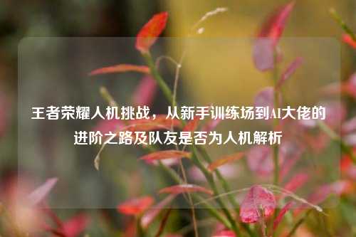 王者荣耀人机挑战,从新手训练场到AI大佬的进阶之路及队友是否为人机解析