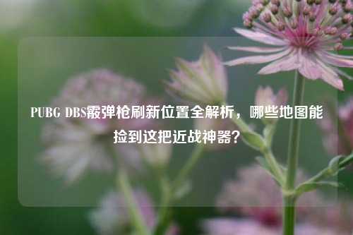 PUBG DBS霰弹枪刷新位置全解析，哪些地图能捡到这把近战神器？