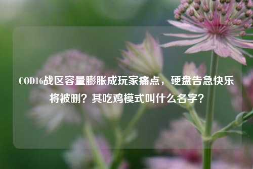 COD16战区容量膨胀成玩家痛点,硬盘告急快乐将被删?其吃鸡模式叫什么名字?