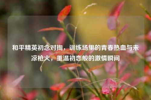 和平精英初念对掏,训练场里的青春热血与未凉枪火,重温初恋般的激情瞬间