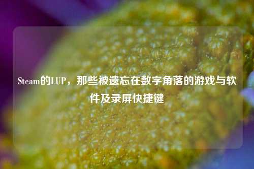 Steam的LUP,那些被遗忘在数字角落的游戏与软件及录屏快捷键
