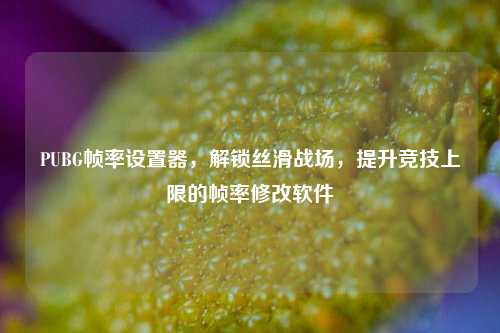 PUBG帧率设置器，解锁丝滑战场，提升竞技上限的帧率修改软件