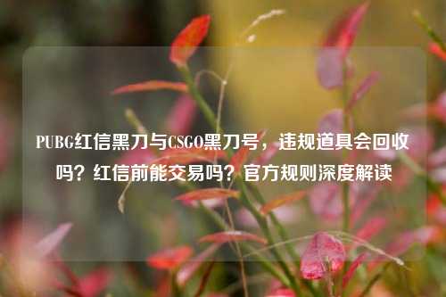 PUBG红信黑刀与CSGO黑刀号,违规道具会回收吗?红信前能交易吗?官方规则深度解读