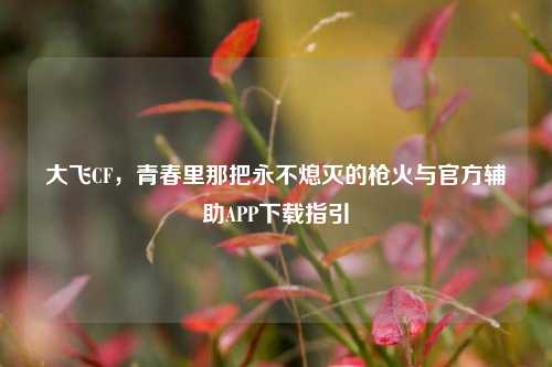 大飞CF,青春里那把永不熄灭的枪火与官方辅助APP下载指引