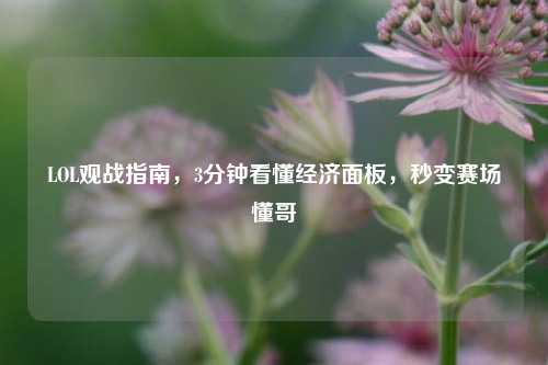 LOL观战指南,3分钟看懂经济面板,秒变赛场懂哥