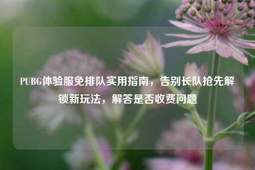 PUBG体验服免排队实用指南,告别长队抢先解锁新玩法,解答是否收费问题