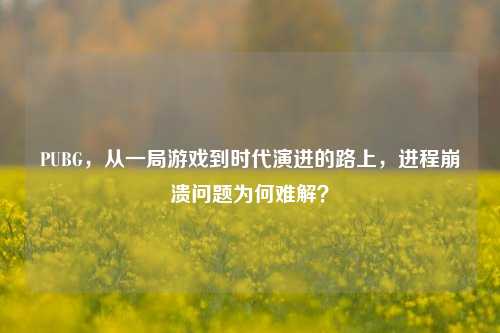 PUBG，从一局游戏到时代演进的路上，进程崩溃问题为何难解？