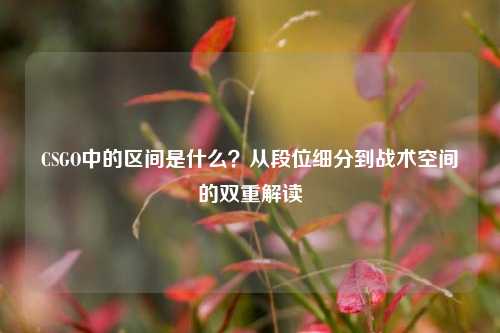 CSGO中的区间是什么？从段位细分到战术空间的双重解读