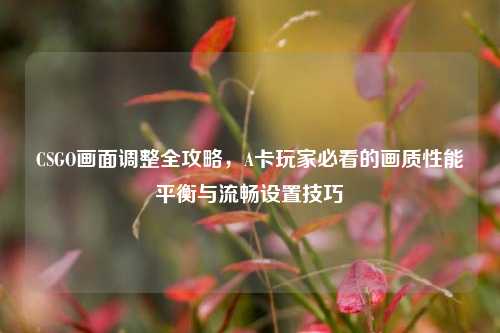 CSGO画面调整全攻略,A卡玩家必看的画质性能平衡与流畅设置技巧
