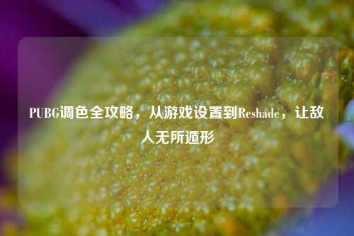 PUBG调色全攻略,从游戏设置到Reshade,让敌人无所遁形
