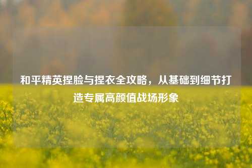 和平精英捏脸与捏衣全攻略,从基础到细节打造专属高颜值战场形象