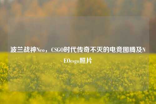 波兰战神Neo，CSGO时代传奇不灭的电竞图腾及NEOcsgo照片