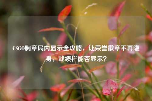 CSGO胸章局内显示全攻略,让荣誉徽章不再隐身,战绩栏能否显示?