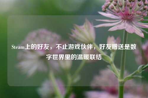 Steam上的好友，不止游戏伙伴，好友赠送是数字世界里的温暖联结