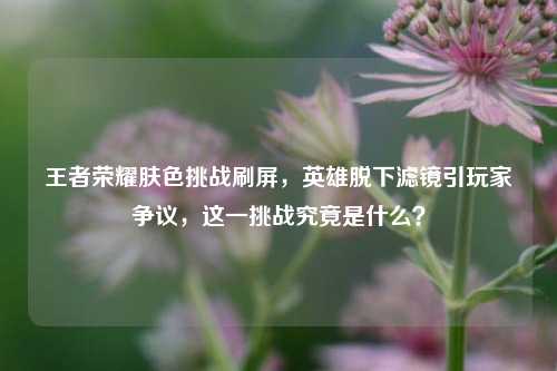 王者荣耀肤色挑战刷屏，英雄脱下滤镜引玩家争议，这一挑战究竟是什么？