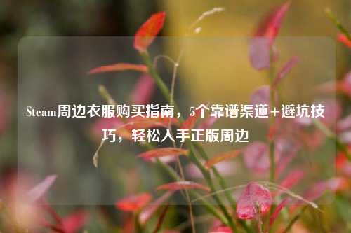 Steam周边衣服购买指南，5个靠谱渠道+避坑技巧，轻松入手正版周边