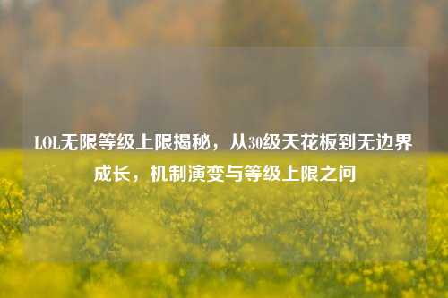LOL无限等级上限揭秘,从30级天花板到无边界成长,机制演变与等级上限之问