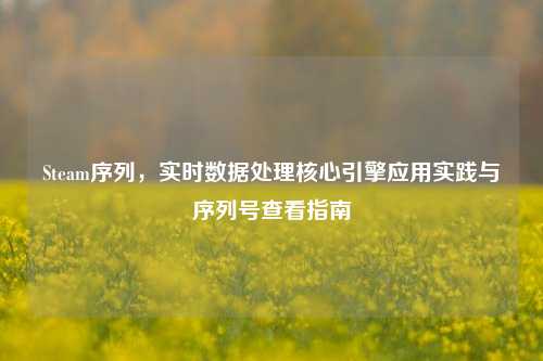 Steam序列，实时数据处理核心引擎应用实践与序列号查看指南