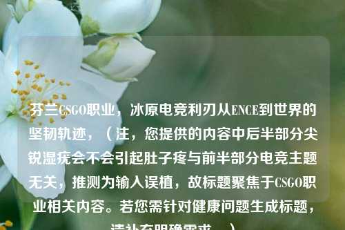 芬兰CSGO职业，冰原电竞利刃从ENCE到世界的坚韧轨迹，（注，您提供的内容中后半部分尖锐湿疣会不会引起肚子疼与前半部分电竞主题无关，推测为输入误植，故标题聚焦于CSGO职业相关内容。若您需针对健康问题生成标题，请补充明确需求。）