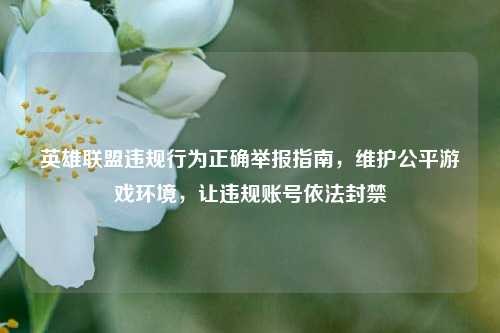 英雄联盟违规行为正确举报指南,维护公平游戏环境,让违规账号依法封禁
