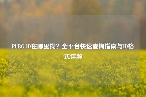 PUBG ID在哪里找?全平台快速查询指南与ID格式详解