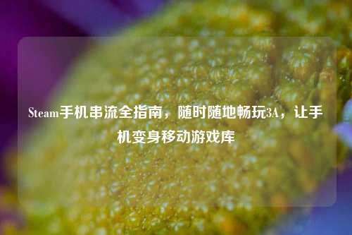 Steam手机串流全指南,随时随地畅玩3A,让手机变身移动游戏库
