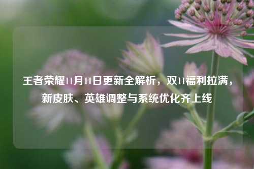 王者荣耀11月11日更新全解析，双11福利拉满，新皮肤、英雄调整与系统优化齐上线