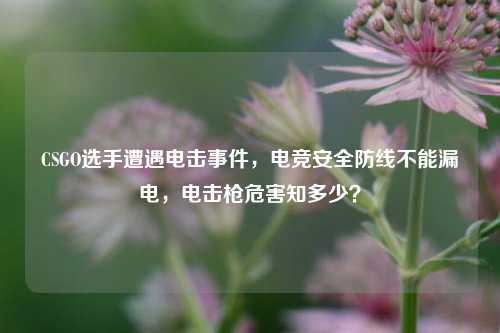 CSGO选手遭遇电击事件,电竞安全防线不能漏电,电击枪危害知多少?