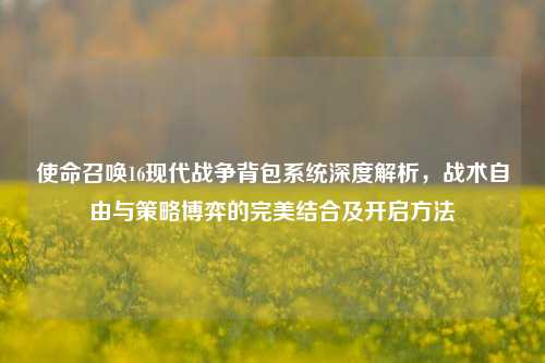 使命召唤16现代战争背包系统深度解析,战术自由与策略博弈的完美结合及开启方法
