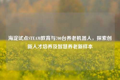 海淀试点STEAM教育与700台养老机器人,探索创新人才培养及智慧养老新样本