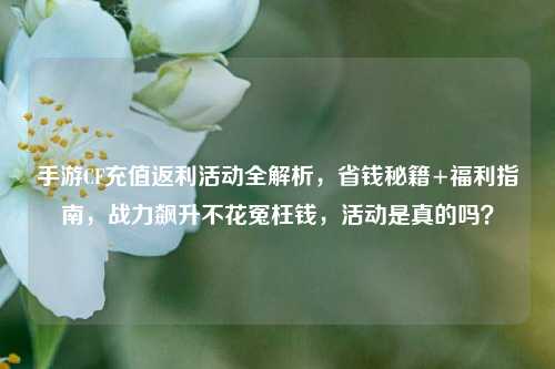 手游CF充值返利活动全解析,省钱秘籍+福利指南,战力飙升不花冤枉钱,活动是真的吗?