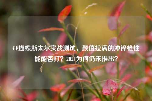 CF蝴蝶斯太尔实战测试,颜值拉满的冲锋枪性能能否打?2021为何仍未推出?