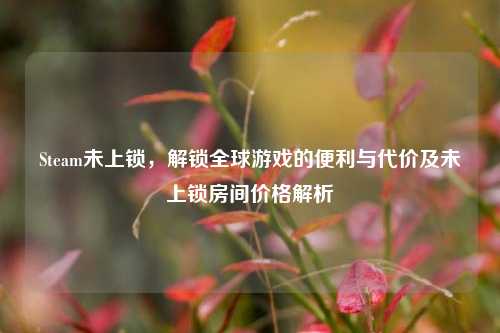 Steam未上锁,解锁全球游戏的便利与代价及未上锁房间价格解析