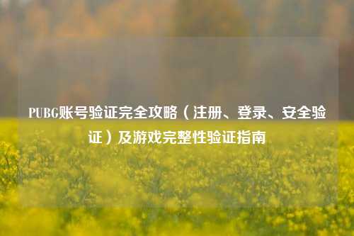 PUBG账号验证完全攻略（注册、登录、安全验证）及游戏完整性验证指南