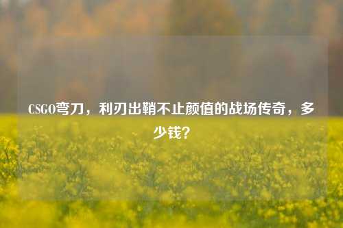 CSGO弯刀，利刃出鞘不止颜值的战场传奇，多少钱？