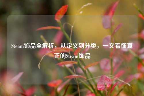 Steam饰品全解析,从定义到分类,一文看懂真正的Steam饰品