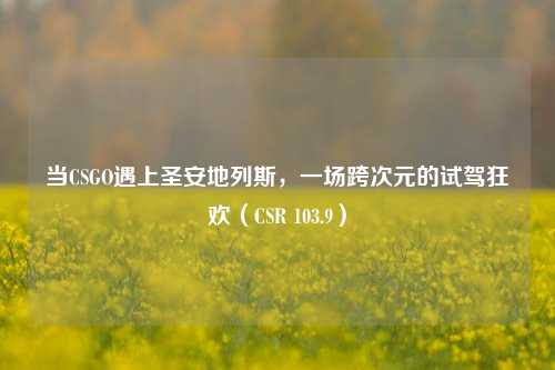 当CSGO遇上圣安地列斯，一场跨次元的试驾狂欢（CSR 103.9）