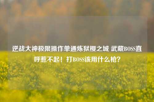 逆战大神极限操作单通炼狱樱之城 武藏BOSS直呼惹不起！打BOSS该用什么枪？