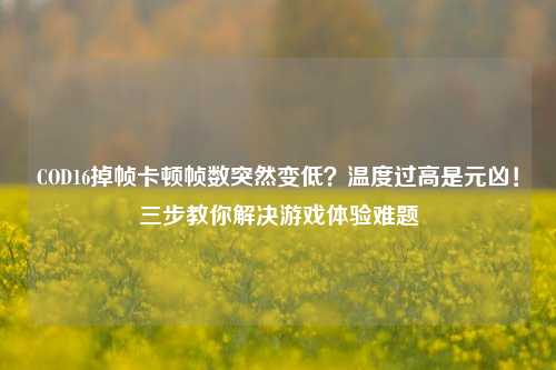 COD16掉帧卡顿帧数突然变低？温度过高是元凶！三步教你解决游戏体验难题