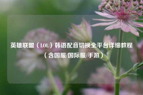 英雄联盟（LOL）韩语配音切换全平台详细教程（含国服/国际服/手游）