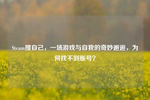 Steam搜自己,一场游戏与自我的奇妙邂逅,为何找不到账号?