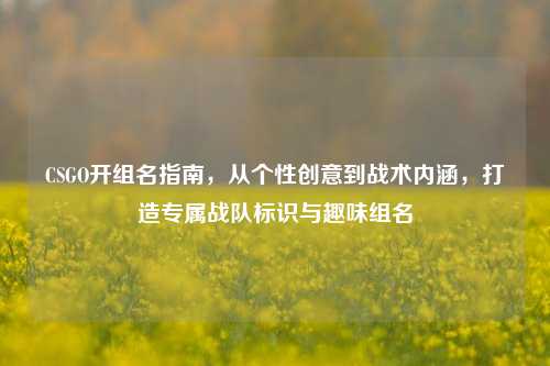CSGO开组名指南,从个性创意到战术内涵,打造专属战队标识与趣味组名