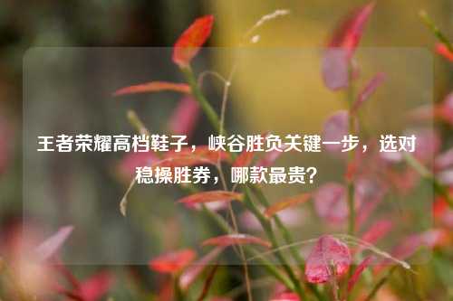 王者荣耀高档鞋子，峡谷胜负关键一步，选对稳操胜券，哪款最贵？
