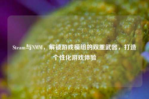 Steam与NMM,解锁游戏模组的双重武器,打造个性化游戏体验